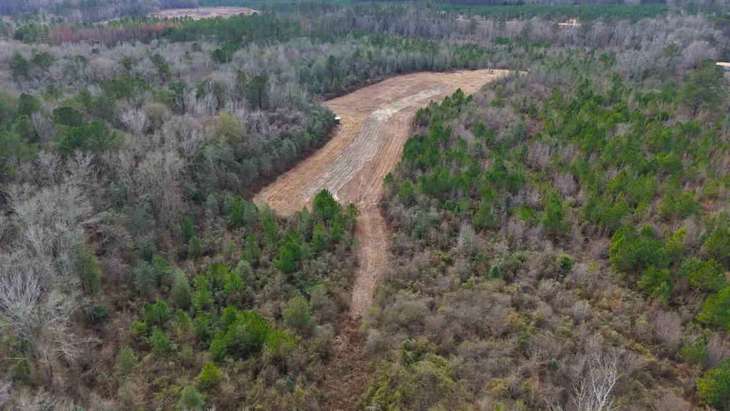 0 Mulberry Road Brantley AL 36009
