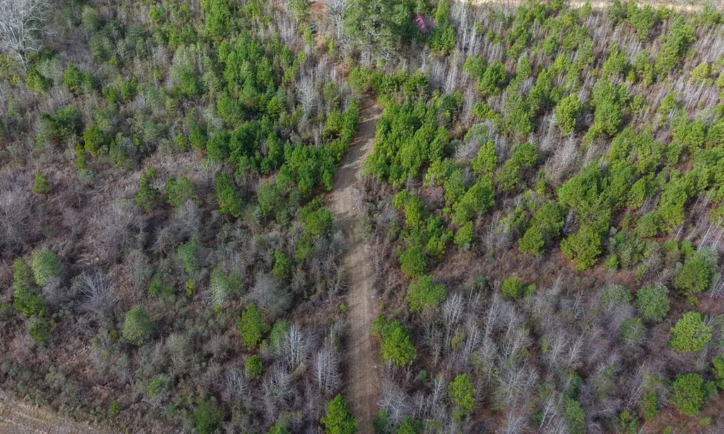 0 Mulberry Road Brantley AL 36009