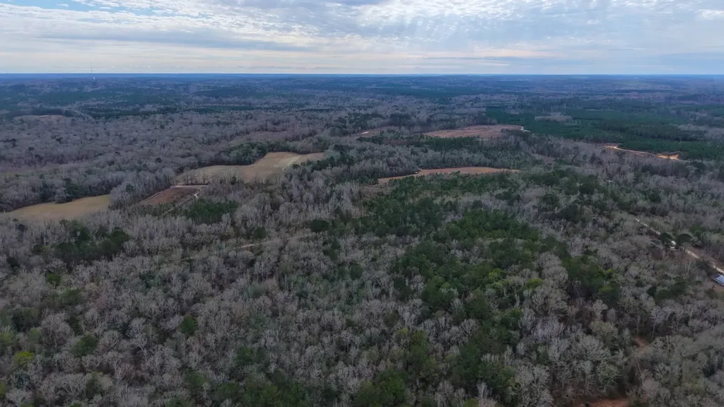0 Mulberry Road Brantley AL 36009