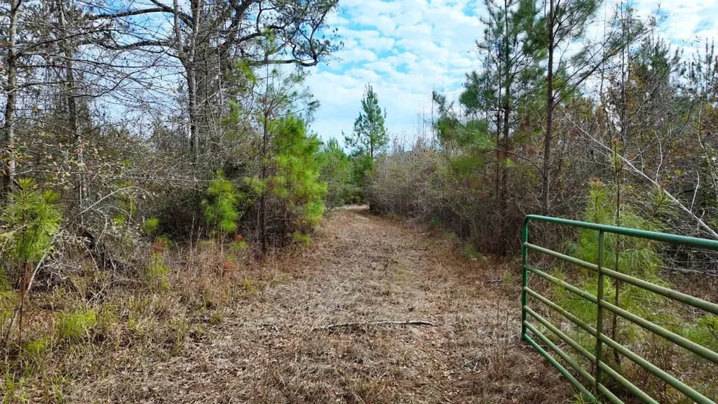 0 Mulberry Road Brantley AL 36009