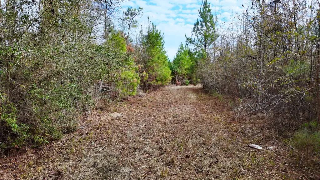 0 Mulberry Road Brantley AL 36009