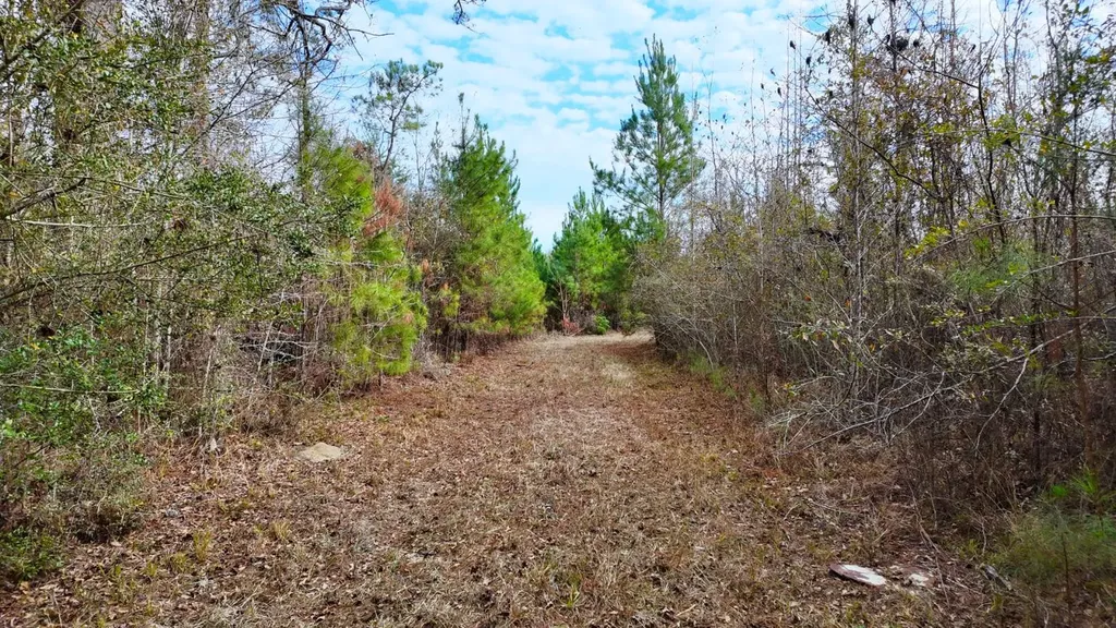0 Mulberry Road Brantley AL 36009