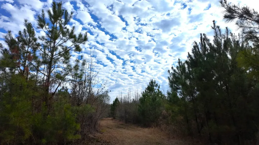 0 Mulberry Road Brantley AL 36009