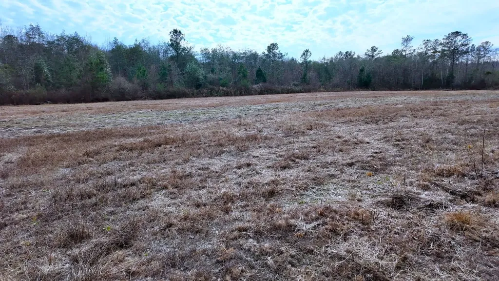 0 Mulberry Road Brantley AL 36009