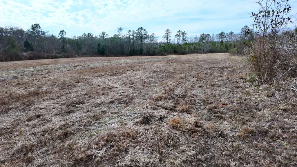 0 Mulberry Road Brantley AL 36009