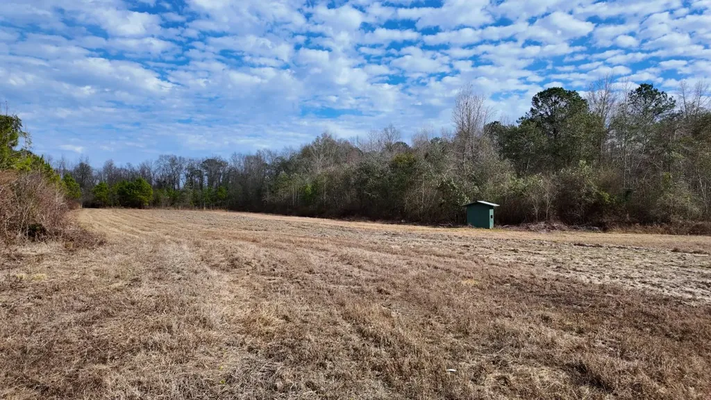 0 Mulberry Road Brantley AL 36009