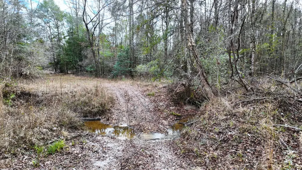 0 Mulberry Road Brantley AL 36009