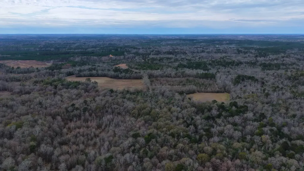 0 Mulberry Road Brantley AL 36009