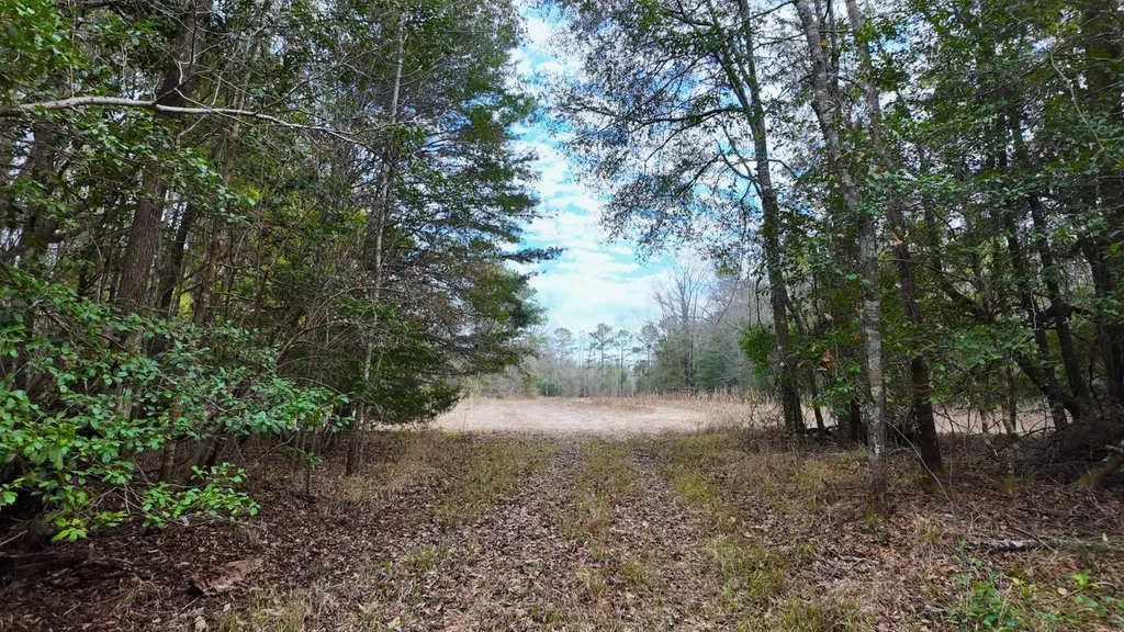 0 Mulberry Road Brantley AL 36009