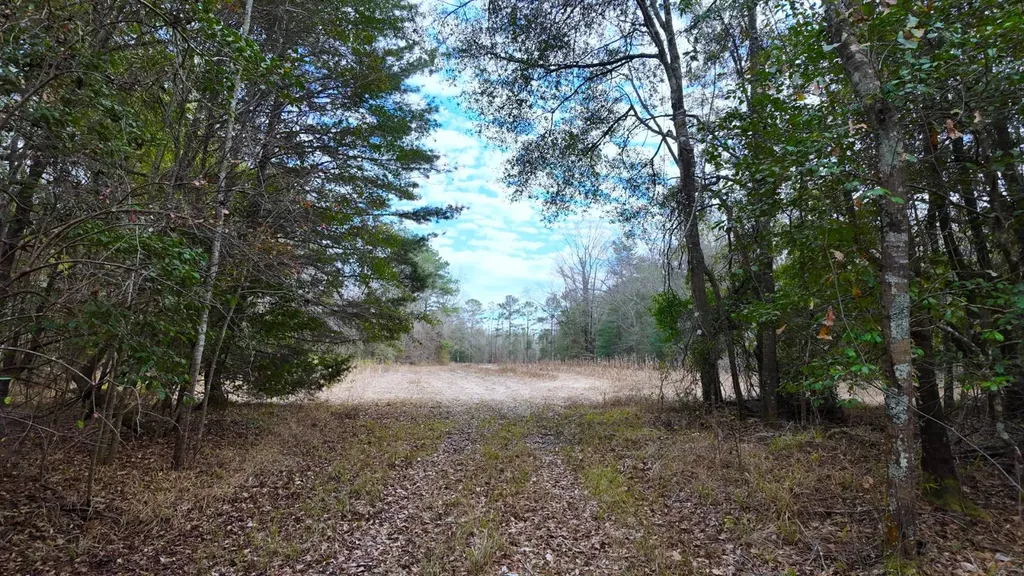 0 Mulberry Road Brantley AL 36009
