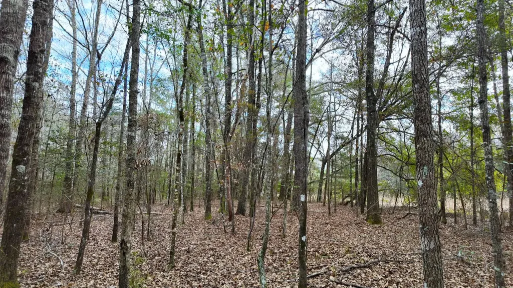 0 Mulberry Road Brantley AL 36009