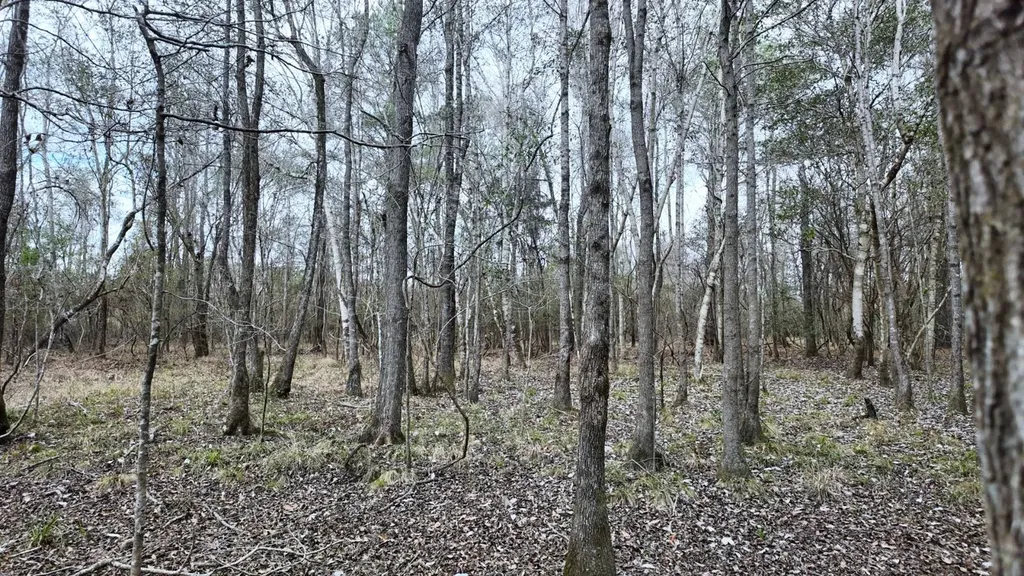 0 Mulberry Road Brantley AL 36009