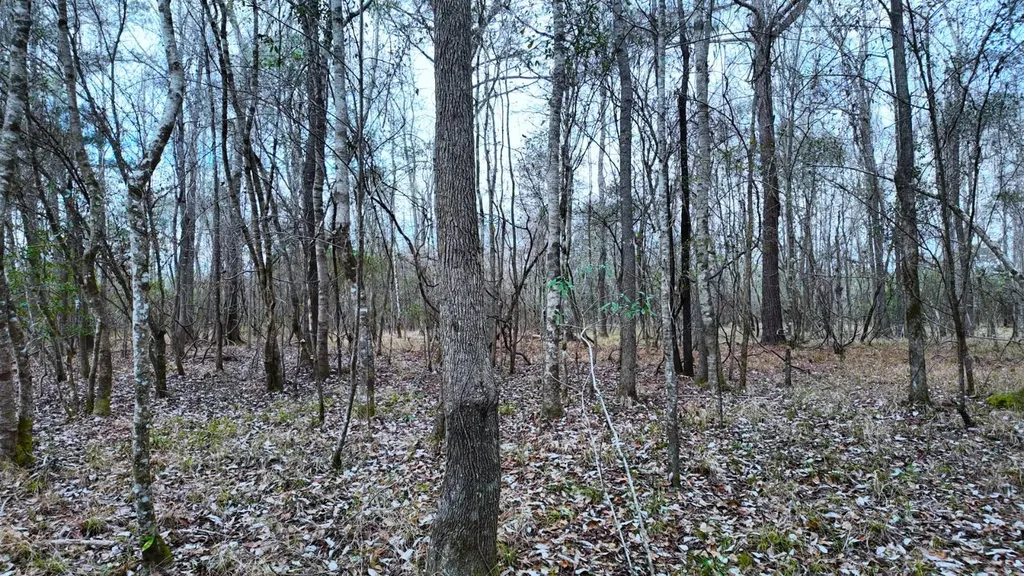 0 Mulberry Road Brantley AL 36009