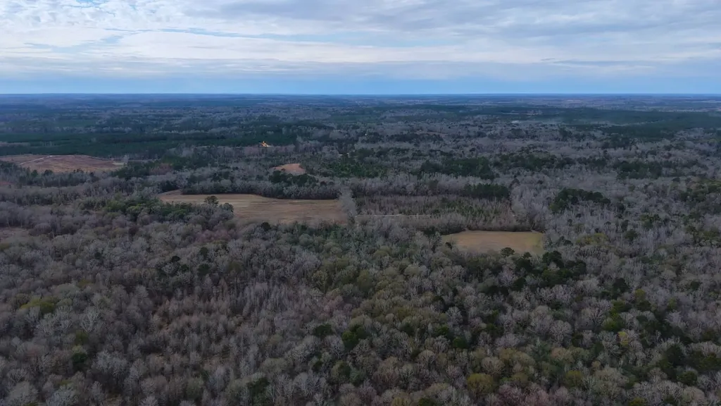 0 Mulberry Road Brantley AL 36009