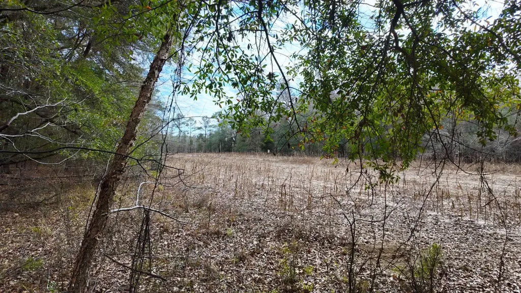 0 Mulberry Road Brantley AL 36009