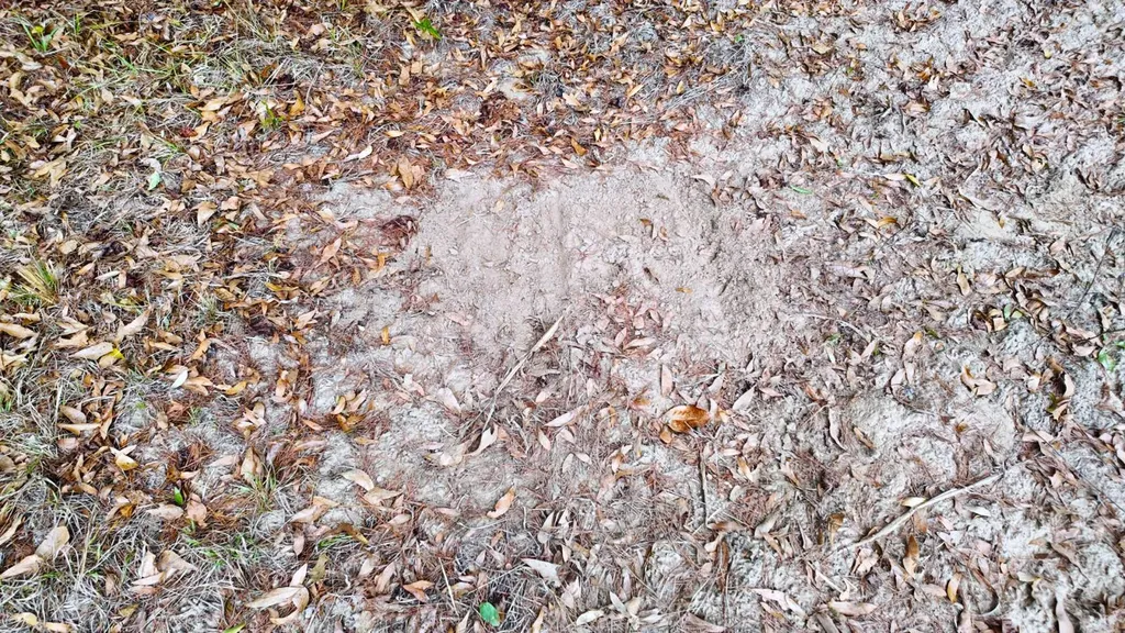 0 Mulberry Road Brantley AL 36009