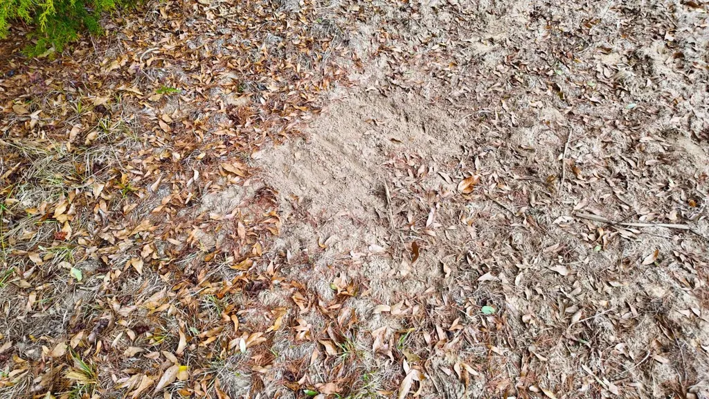 0 Mulberry Road Brantley AL 36009