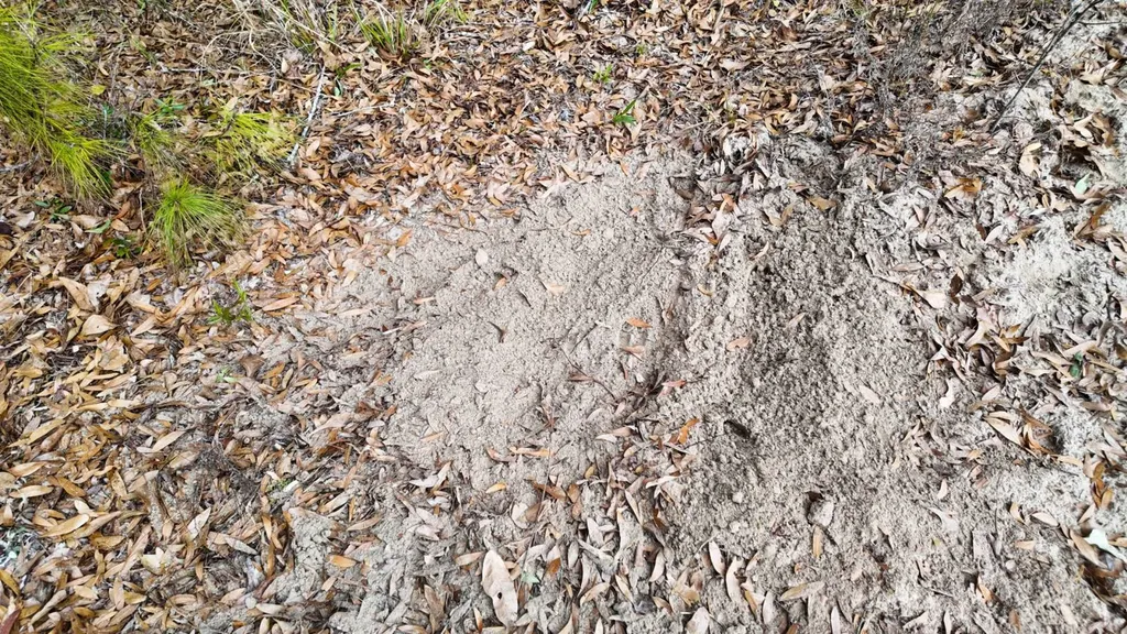 0 Mulberry Road Brantley AL 36009