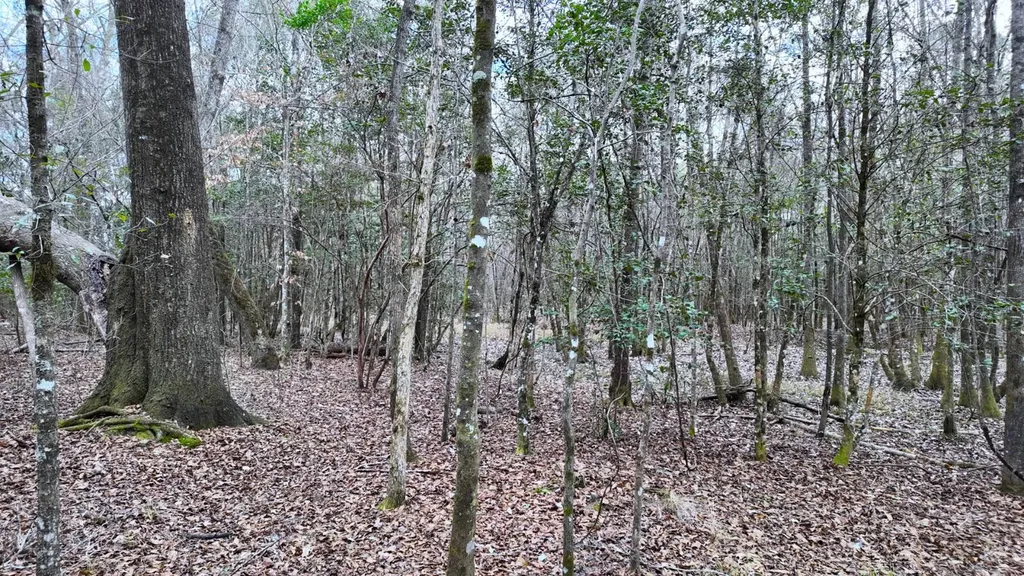 0 Mulberry Road Brantley AL 36009