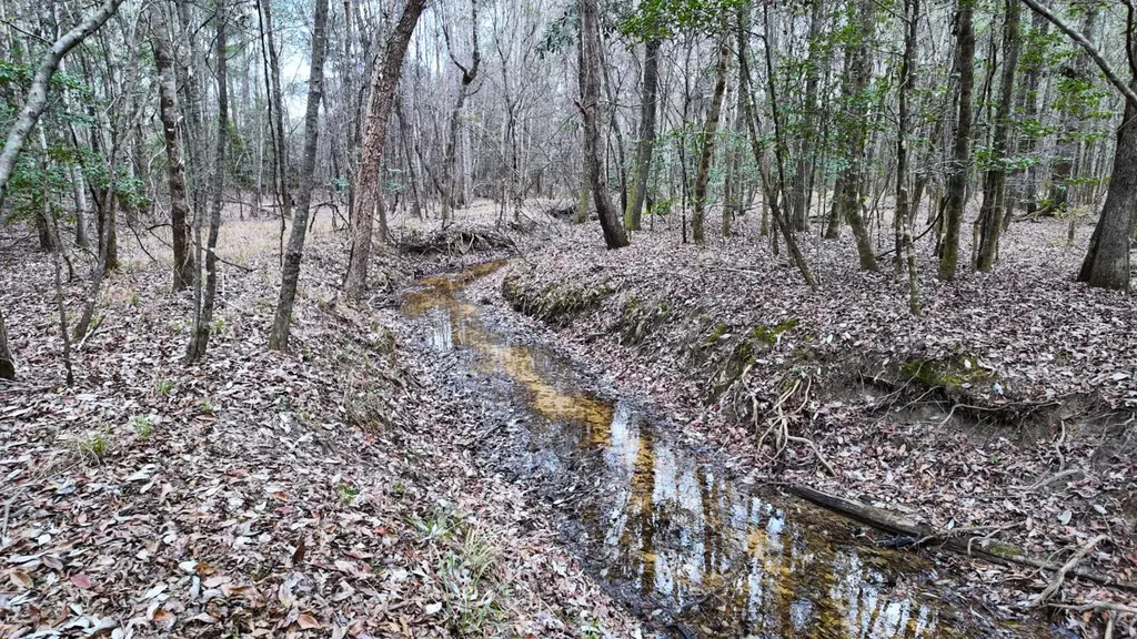 0 Mulberry Road Brantley AL 36009