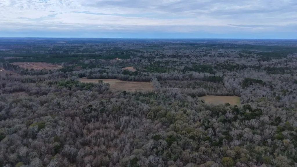 0 Mulberry Road Brantley AL 36009