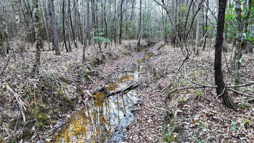 0 Mulberry Road Brantley AL 36009