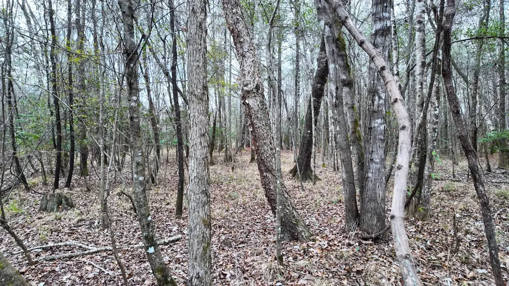 0 Mulberry Road Brantley AL 36009
