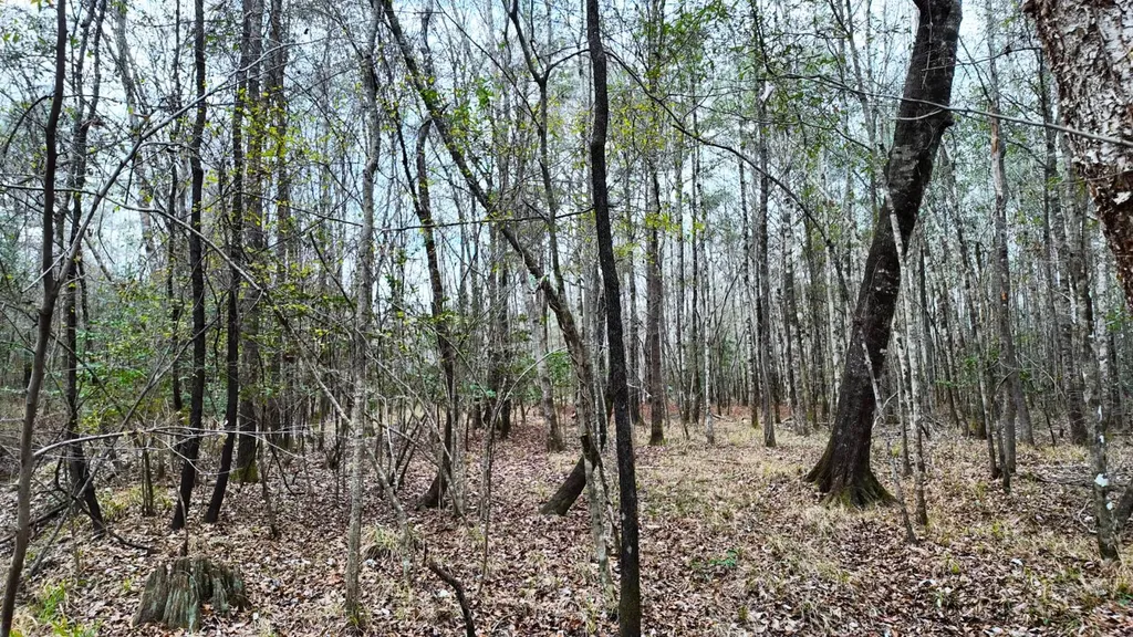 0 Mulberry Road Brantley AL 36009