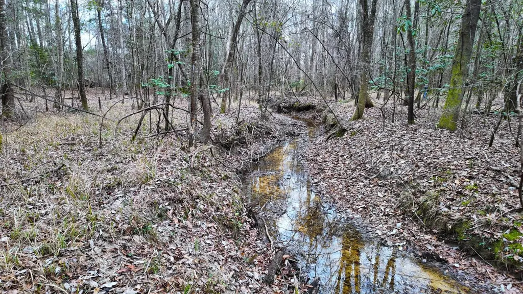 0 Mulberry Road Brantley AL 36009