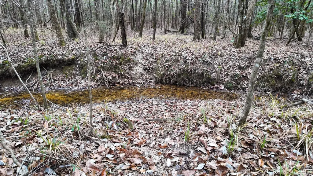 0 Mulberry Road Brantley AL 36009