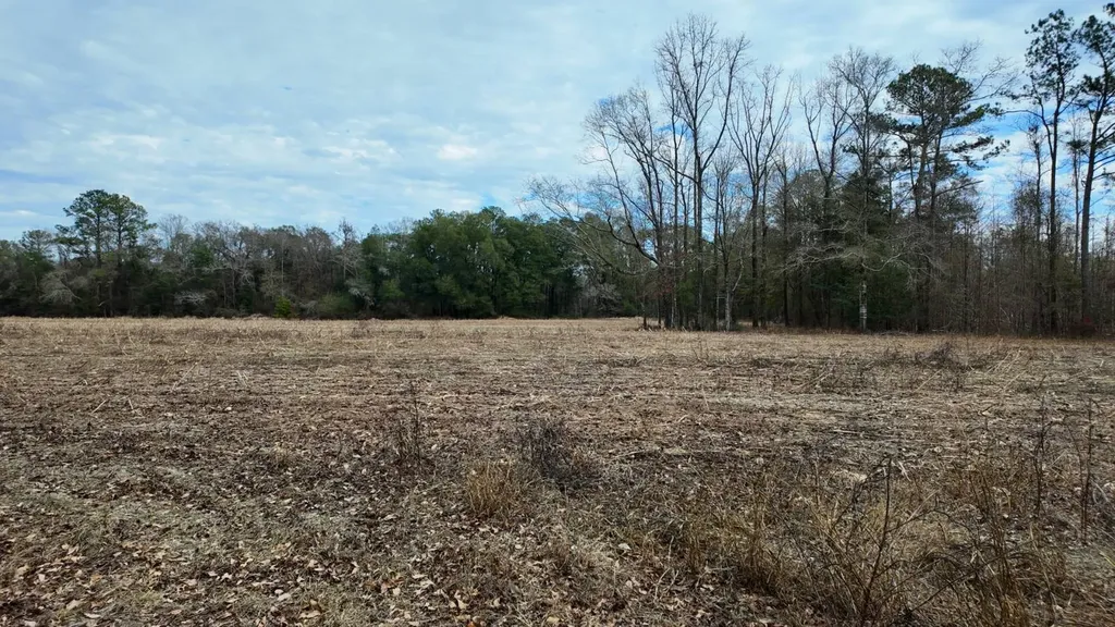 0 Mulberry Road Brantley AL 36009