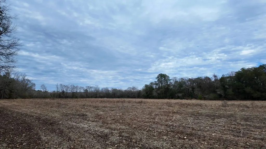 0 Mulberry Road Brantley AL 36009