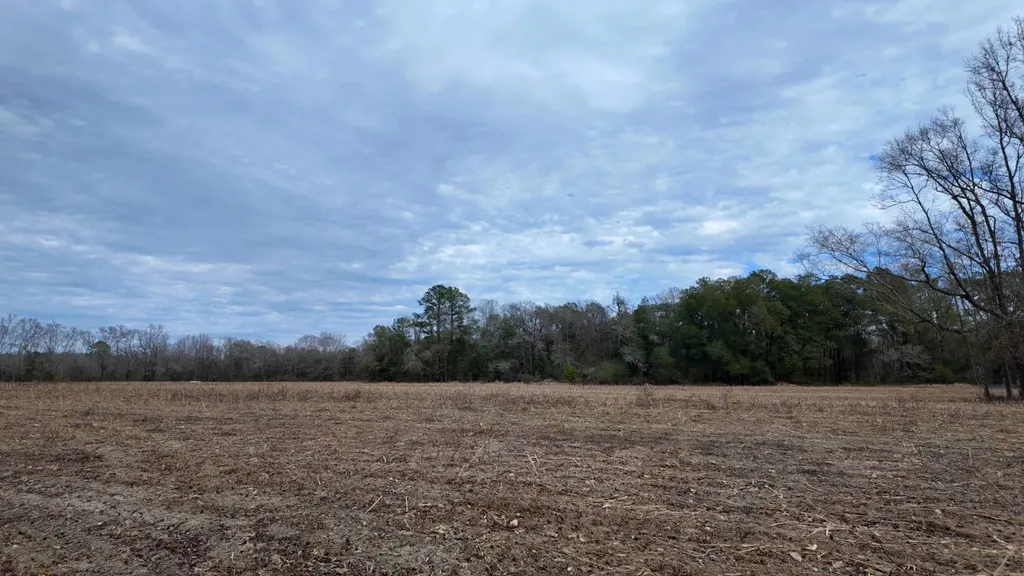 0 Mulberry Road Brantley AL 36009