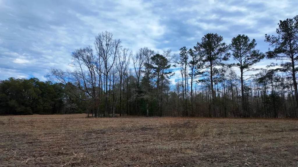 0 Mulberry Road Brantley AL 36009