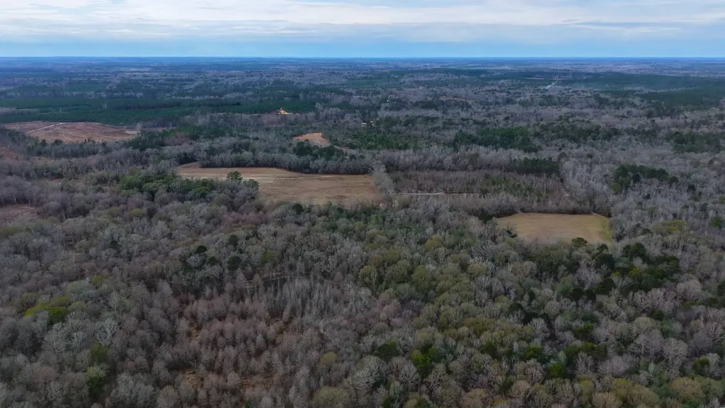 0 Mulberry Road Brantley AL 36009