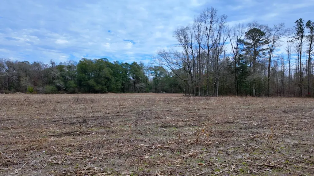0 Mulberry Road Brantley AL 36009