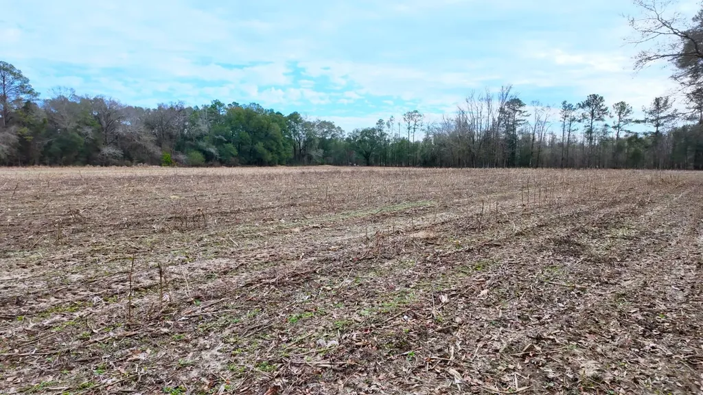 0 Mulberry Road Brantley AL 36009