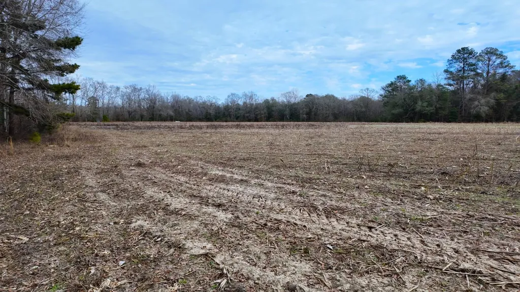 0 Mulberry Road Brantley AL 36009