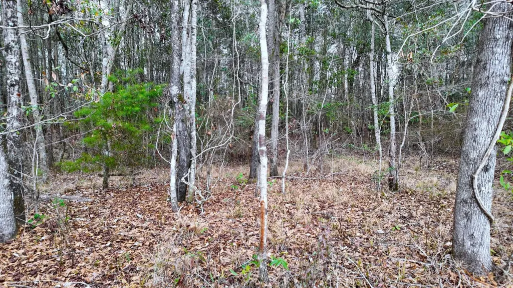 0 Mulberry Road Brantley AL 36009