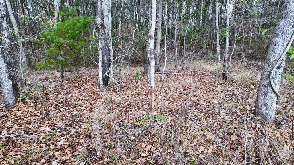 0 Mulberry Road Brantley AL 36009