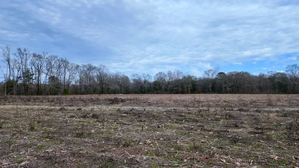 0 Mulberry Road Brantley AL 36009