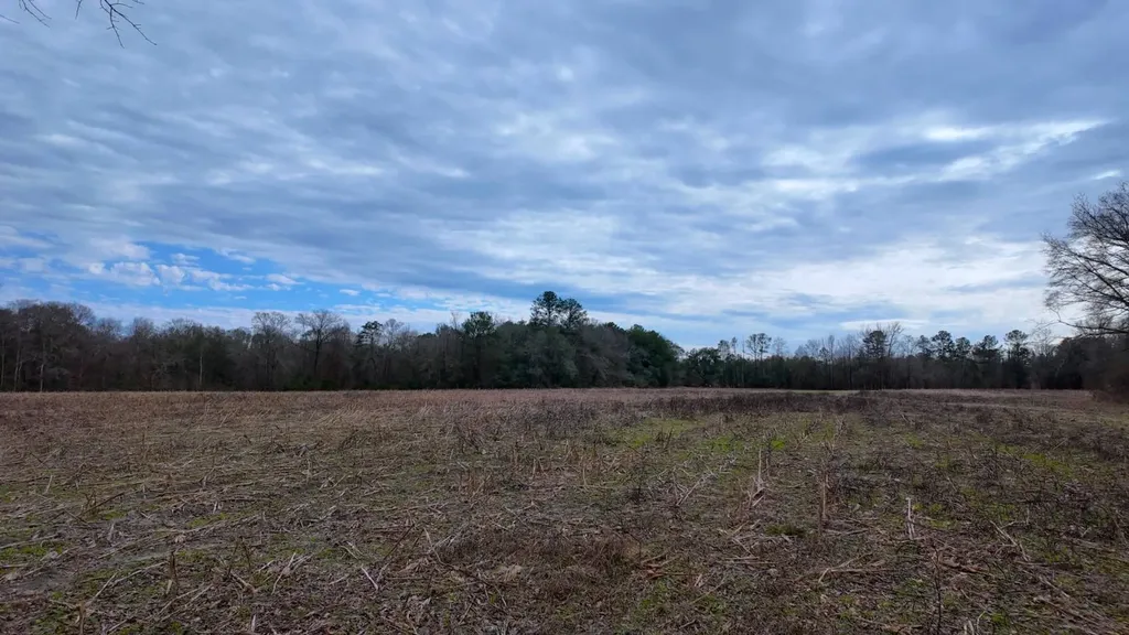 0 Mulberry Road Brantley AL 36009