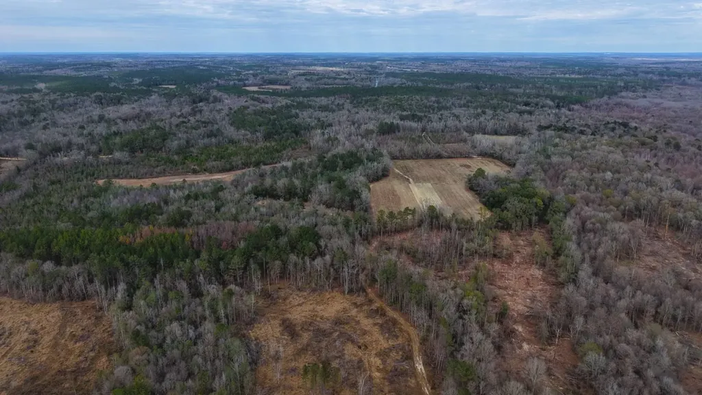 0 Mulberry Road Brantley AL 36009