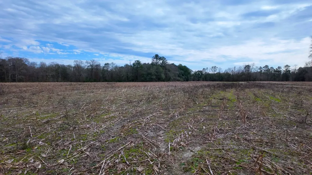 0 Mulberry Road Brantley AL 36009