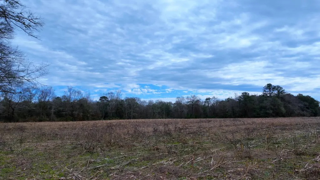 0 Mulberry Road Brantley AL 36009