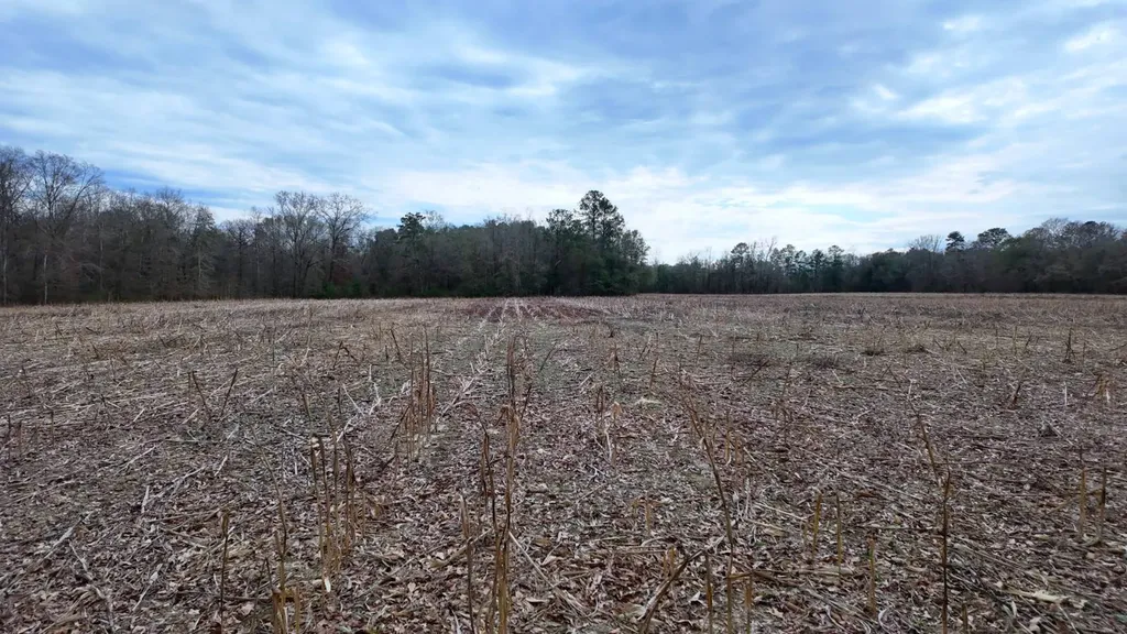 0 Mulberry Road Brantley AL 36009
