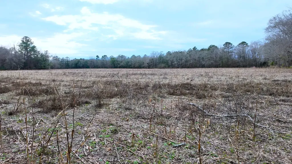 0 Mulberry Road Brantley AL 36009