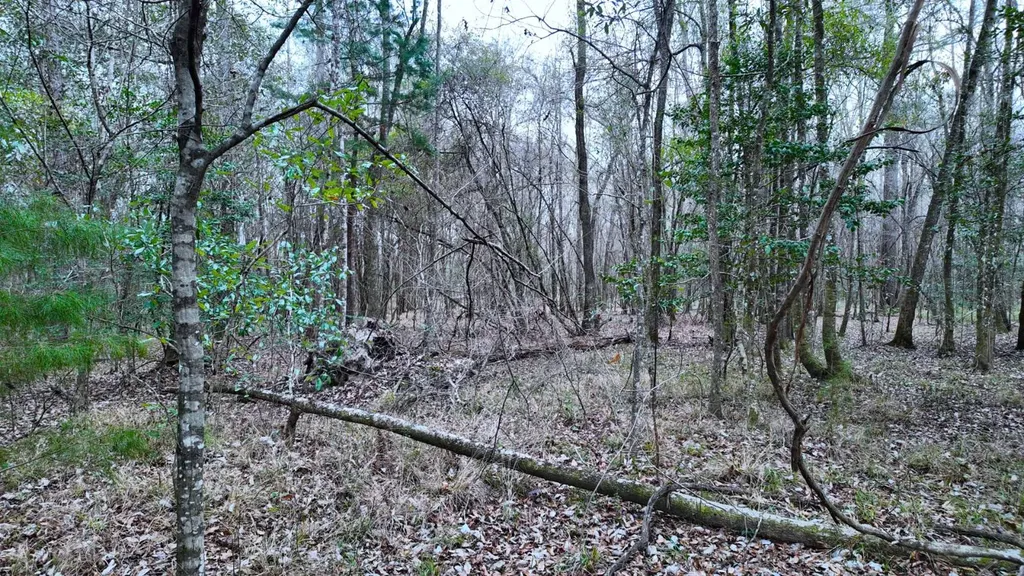 0 Mulberry Road Brantley AL 36009