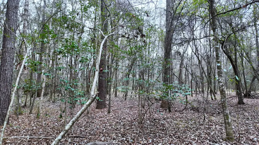 0 Mulberry Road Brantley AL 36009