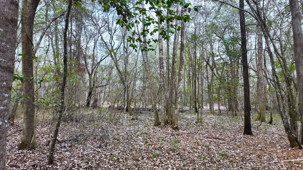 0 Mulberry Road Brantley AL 36009